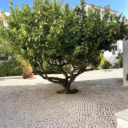 Diago Apartment